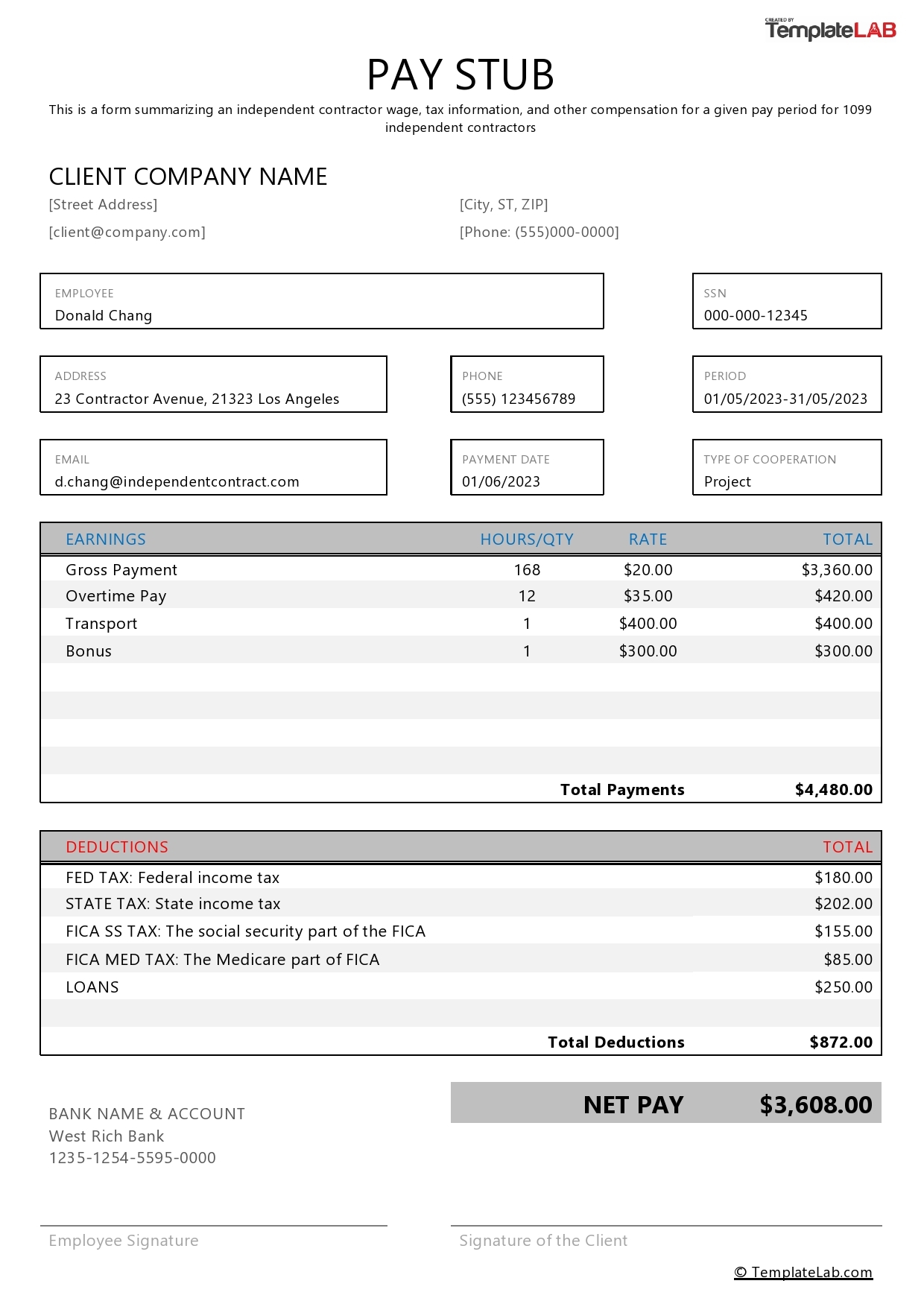 Printable Editable Pdf Blank Pay Stubs Template