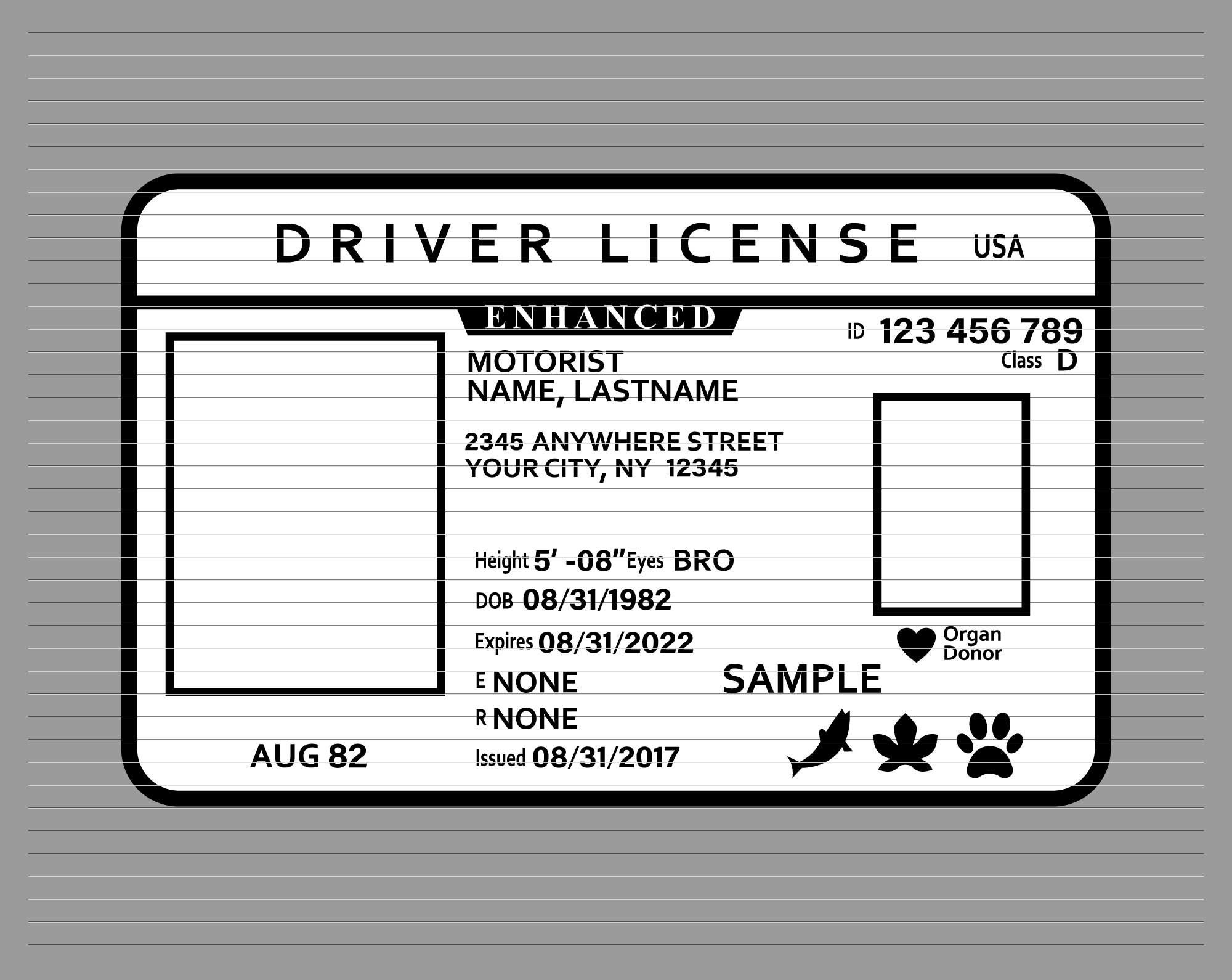 Driver License Svg Etsy Denmark