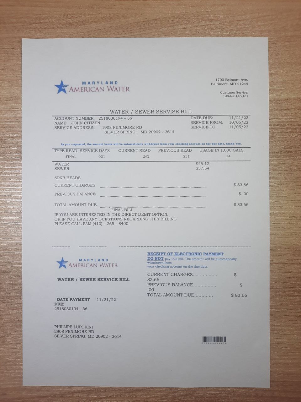 Printable Editable Blank Utility Bill Template