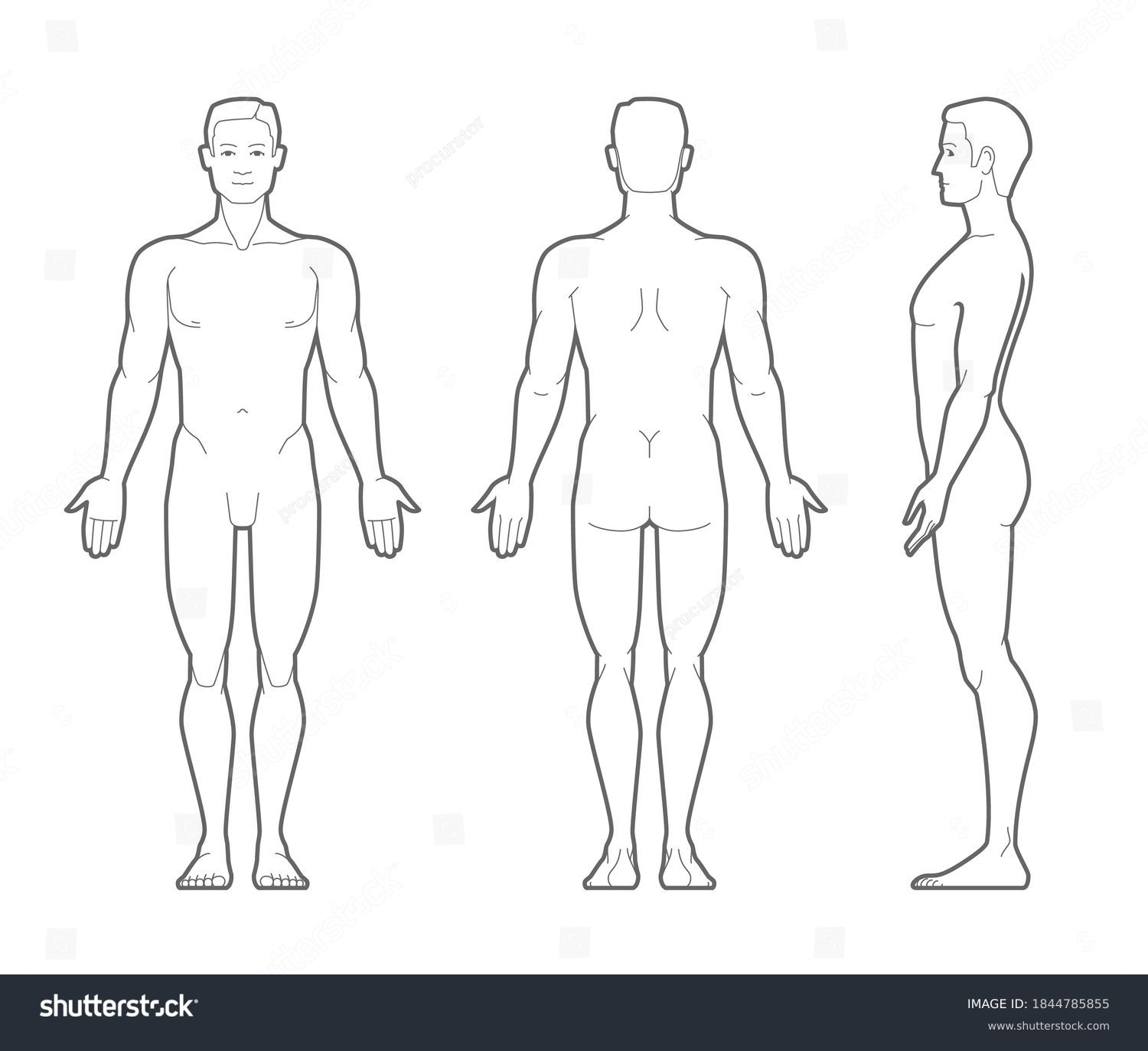 81 Thousand Male Body Outline Royalty Free Images Stock Photos Pictures Shutterstock