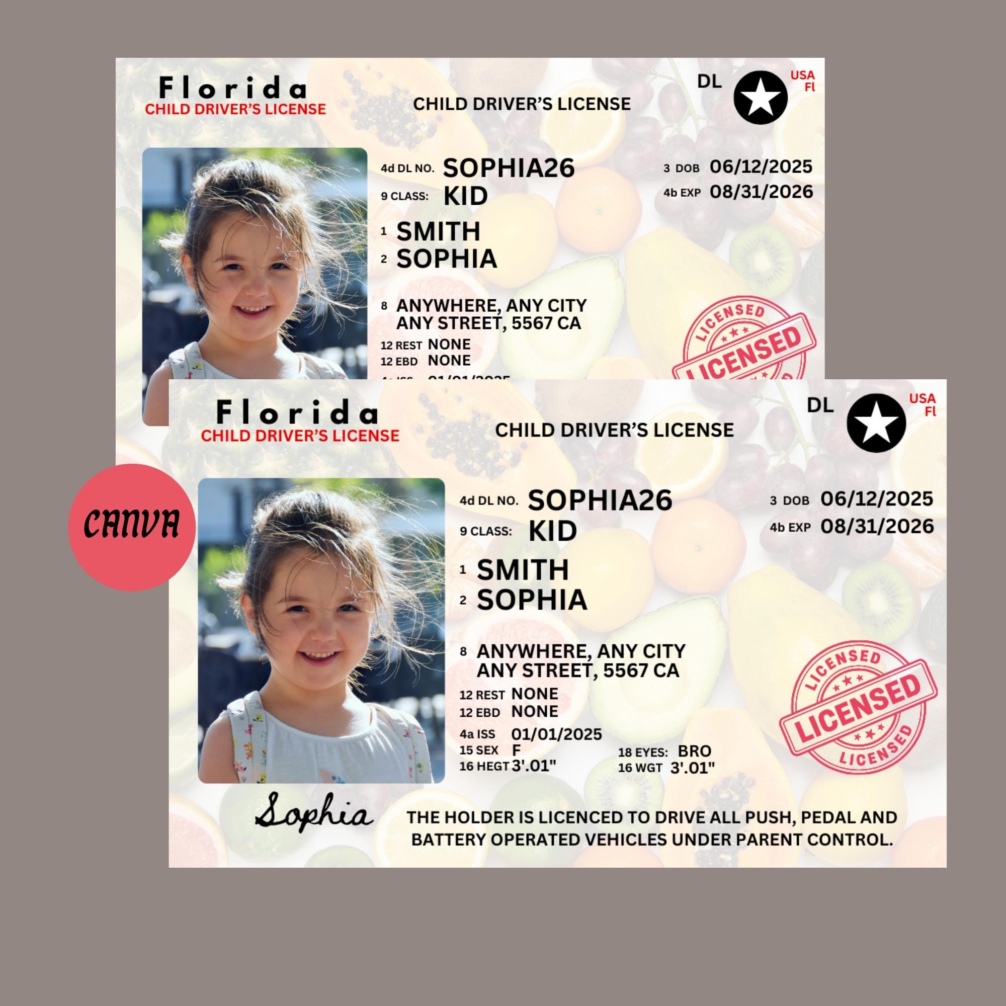 Alabama Driver License Template Etsy Alabama Driver License Template Etsy