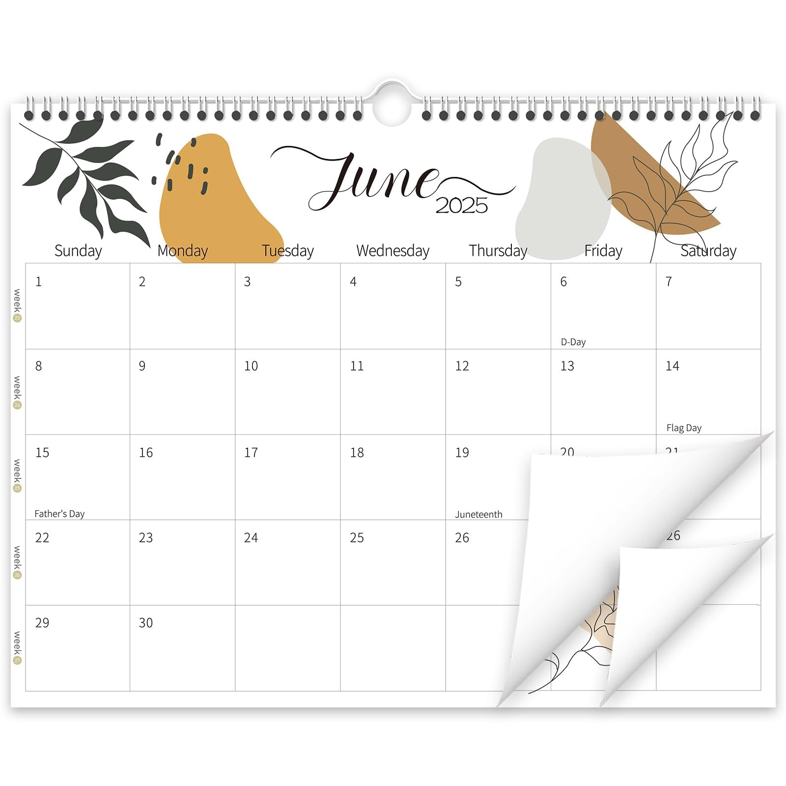 Amazon Guasslee Wall Calendar 2025 2026 2025 Calendar Wall 19 Month Planner Wall 2025 Jun 2026 Dec 14 X 11 Monthly Calendar Spiral Bound With Thick Paper Week Numbers For School Year Home Office Office Products