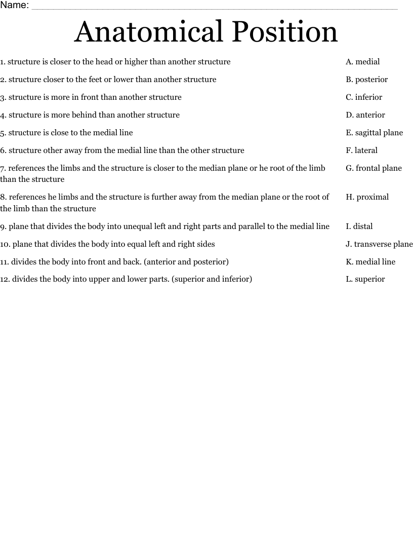 Free Printable Blank Anatomical Terms Worksheets