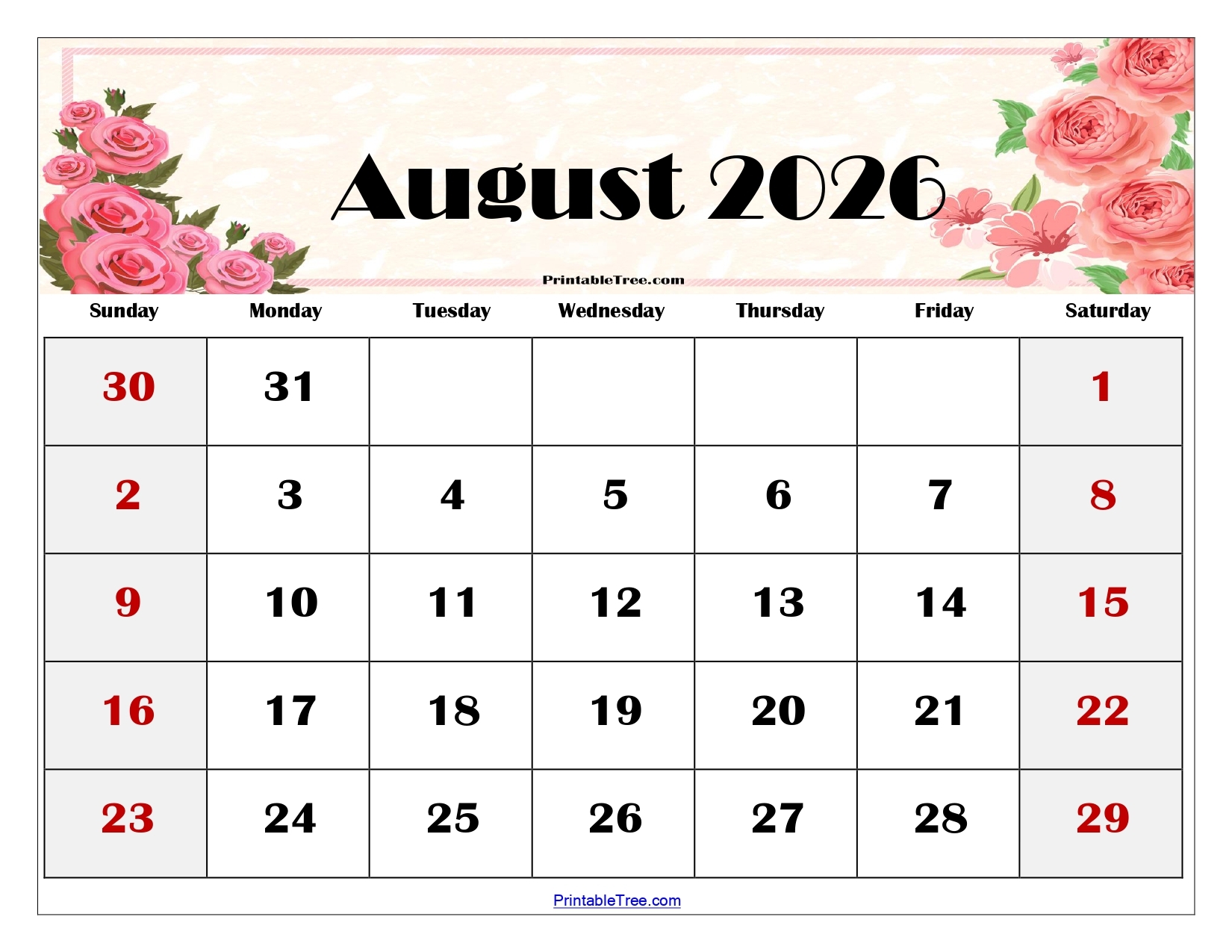 Blank August Calendar 2026 Printable
