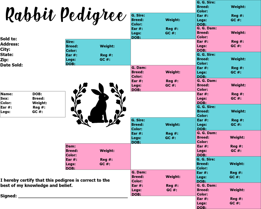 Printable Blank Rabbit Pedigree Template