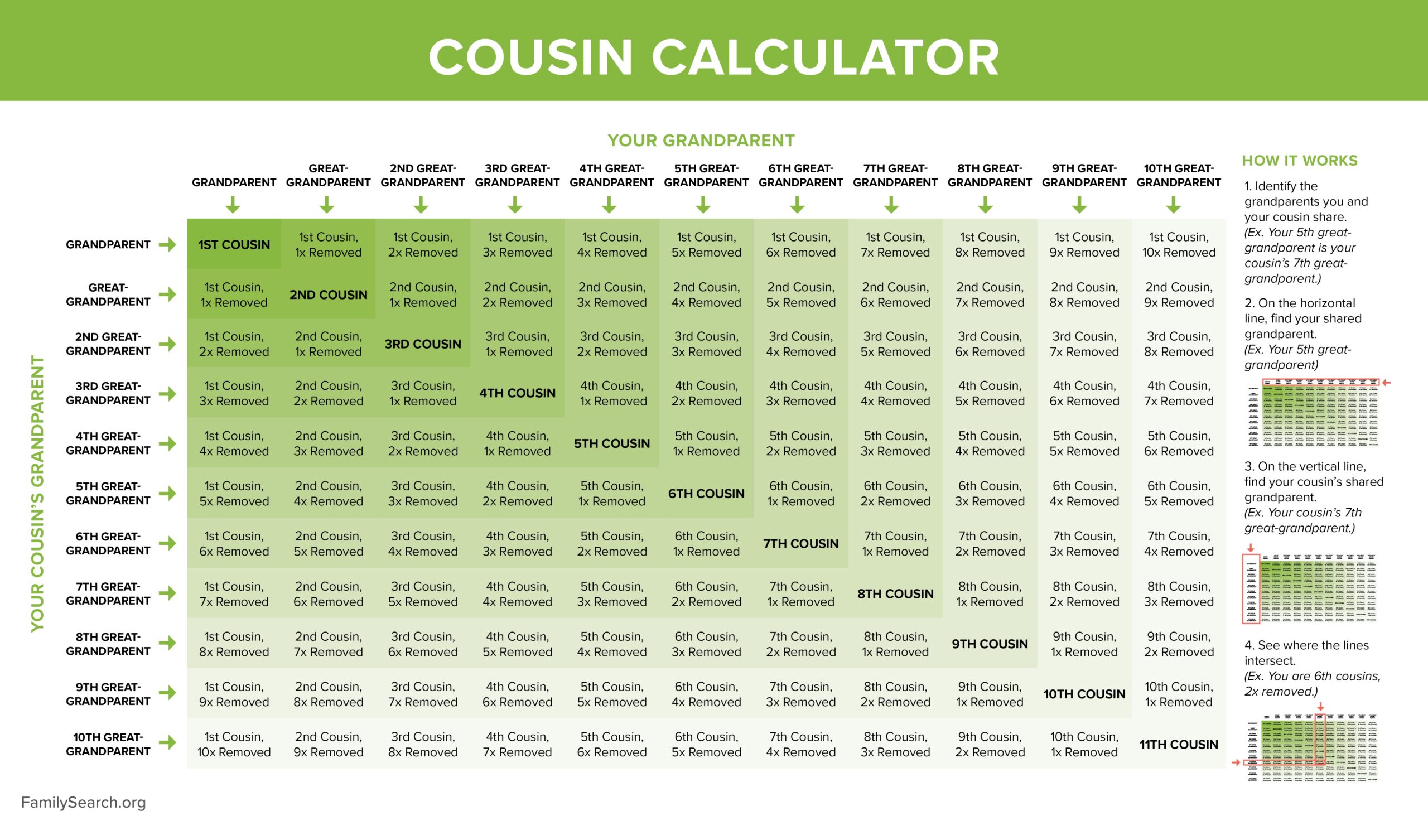 Charts To Understand Relationships With DNA Matches Family Locket