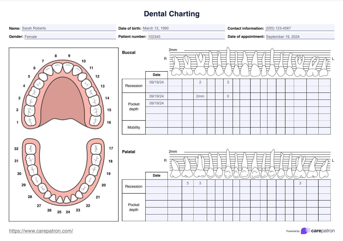 Dental Charting Template Example Free PDF Download