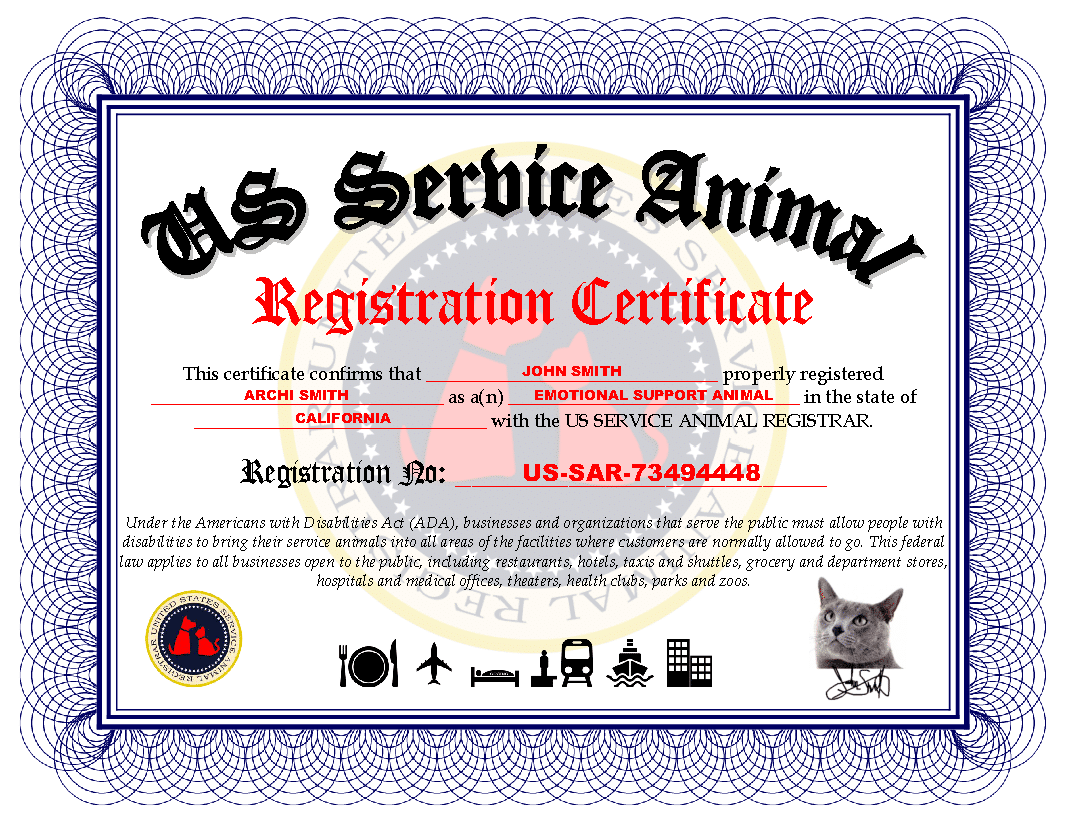 Blank Free Printable Service Dog Certificate