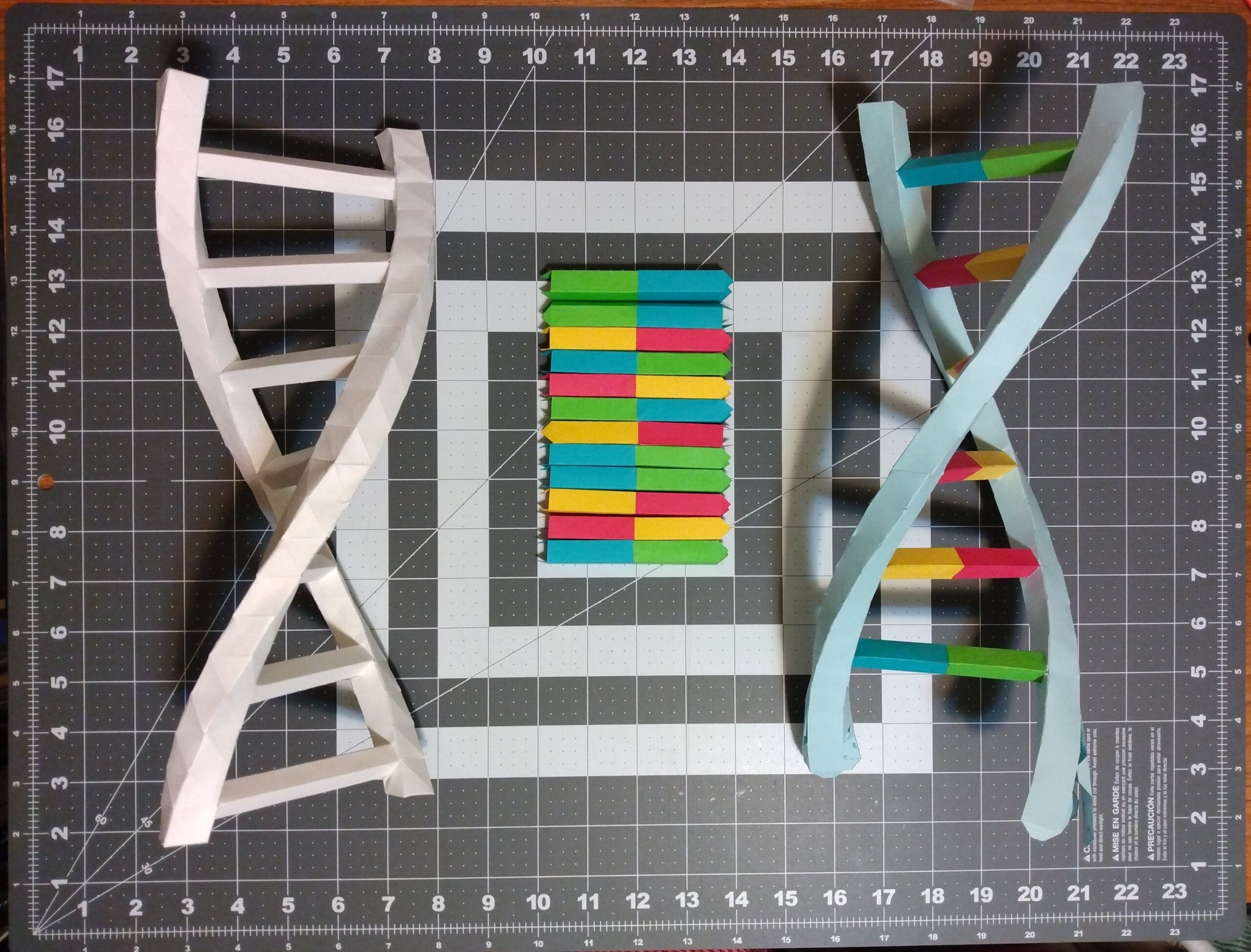 DNA Double Helix Model PDF SVG Diy Papercraft Pattern For A Modular Model Etsy