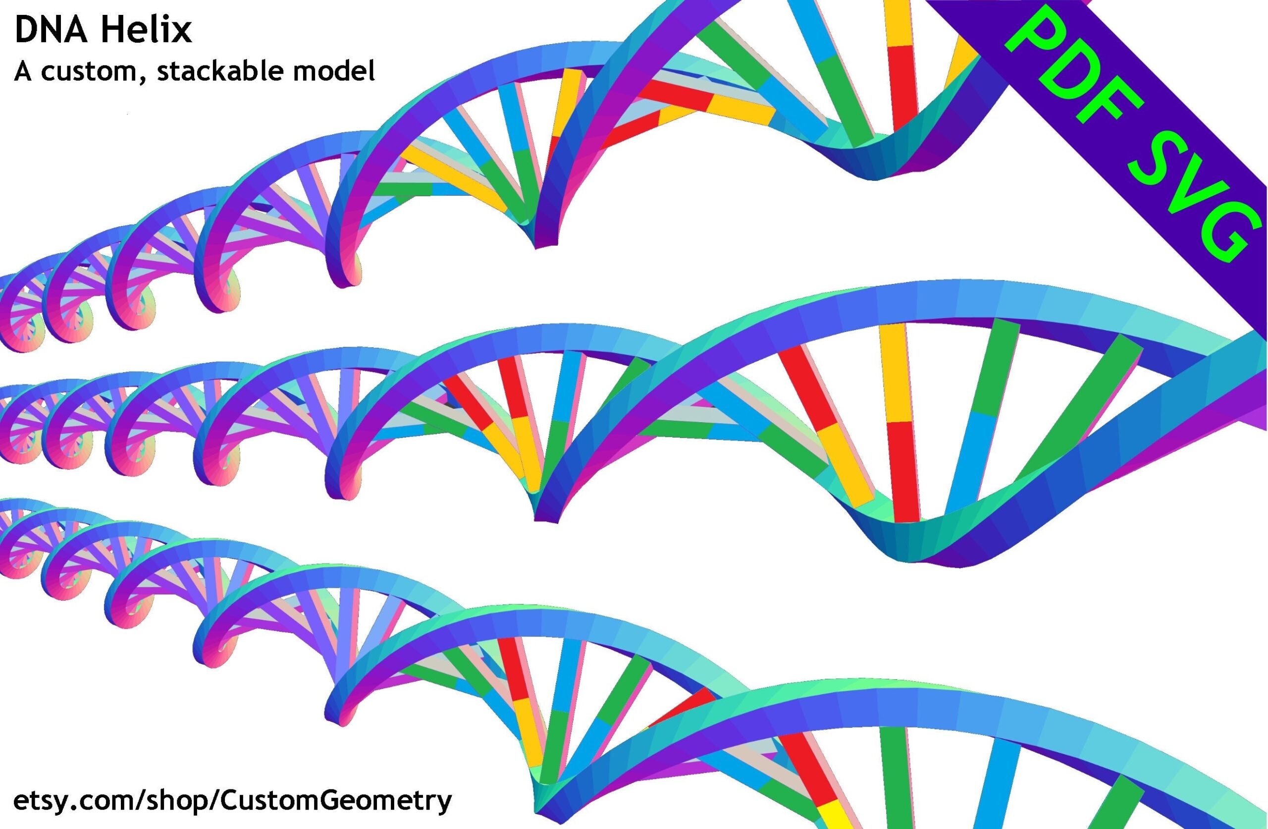 DNA Double Helix Model PDF SVG Diy Papercraft Pattern For A Modular Model Etsy