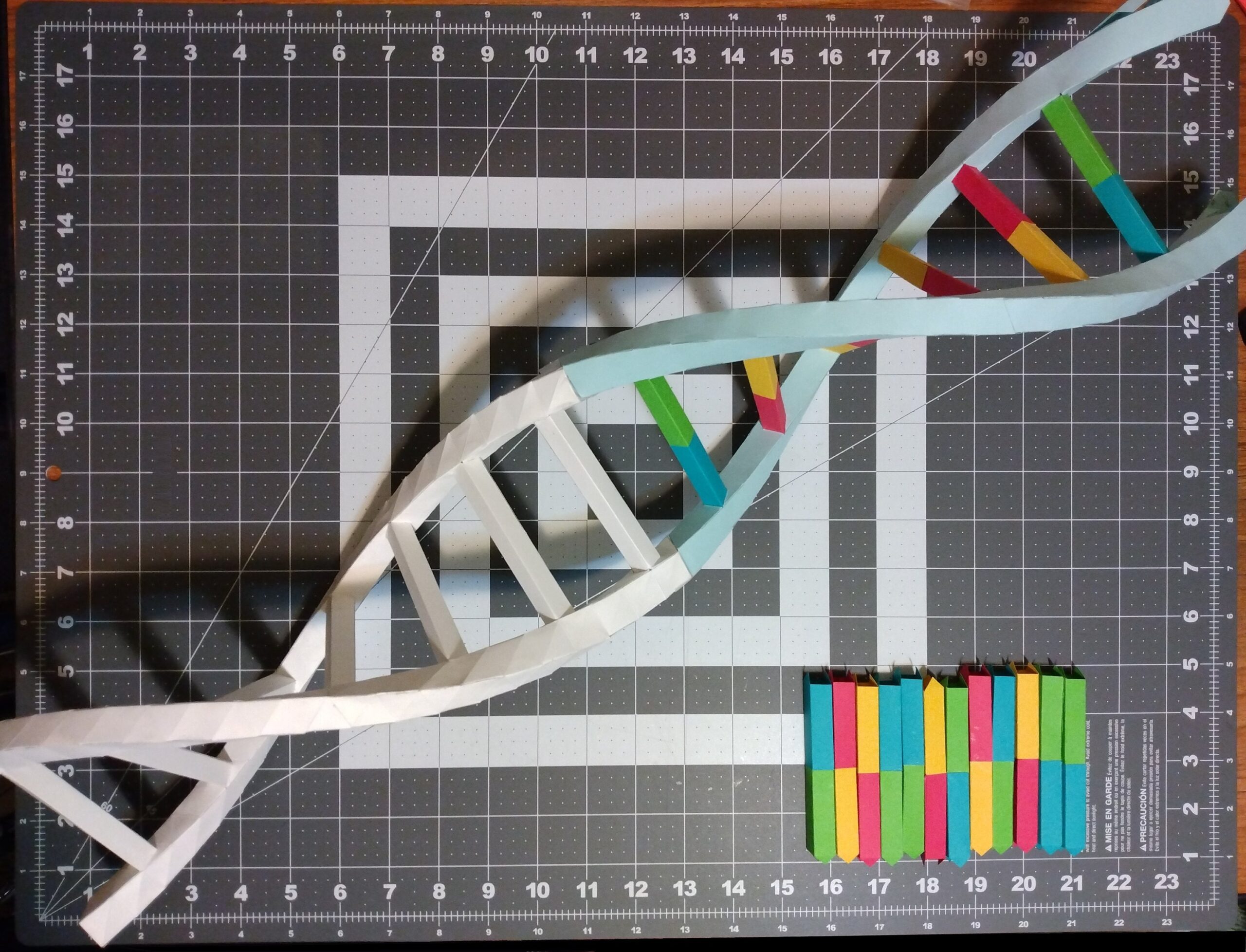 DNA Double Helix Model PDF SVG Diy Papercraft Pattern For A Modular Model Etsy