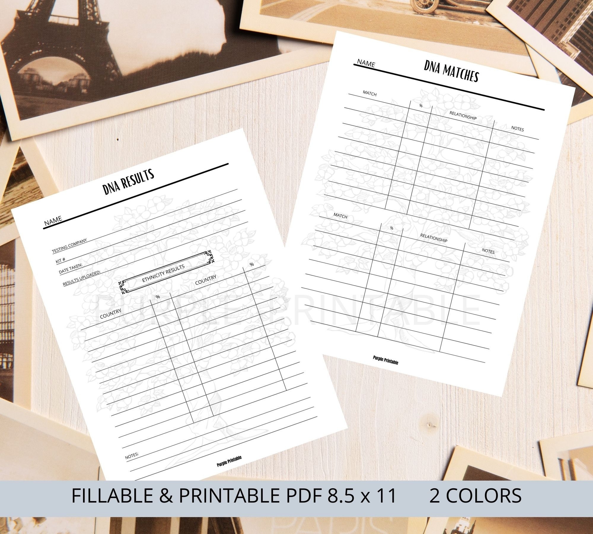 Dna Cousin Matches Printable Blank Forms