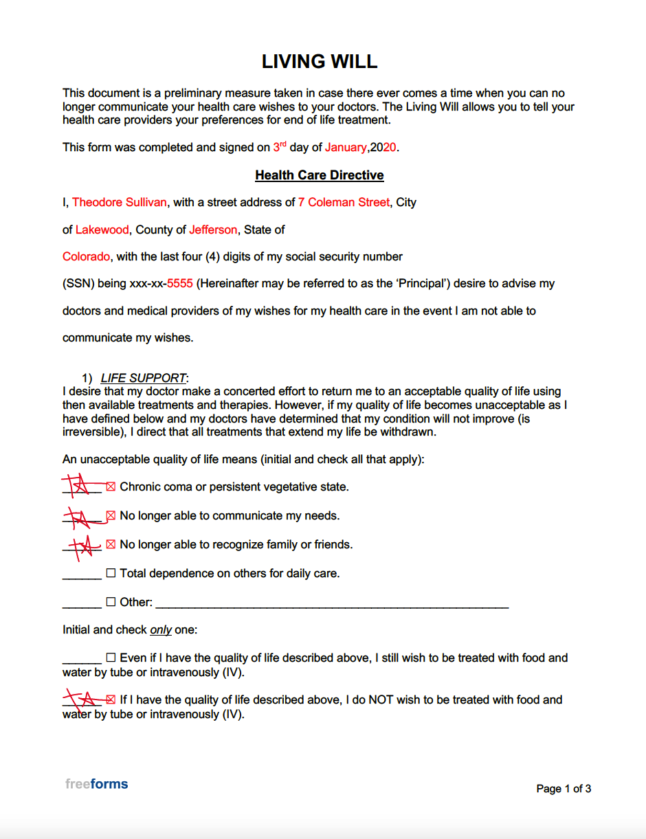 Free Living Will Forms PDF Word