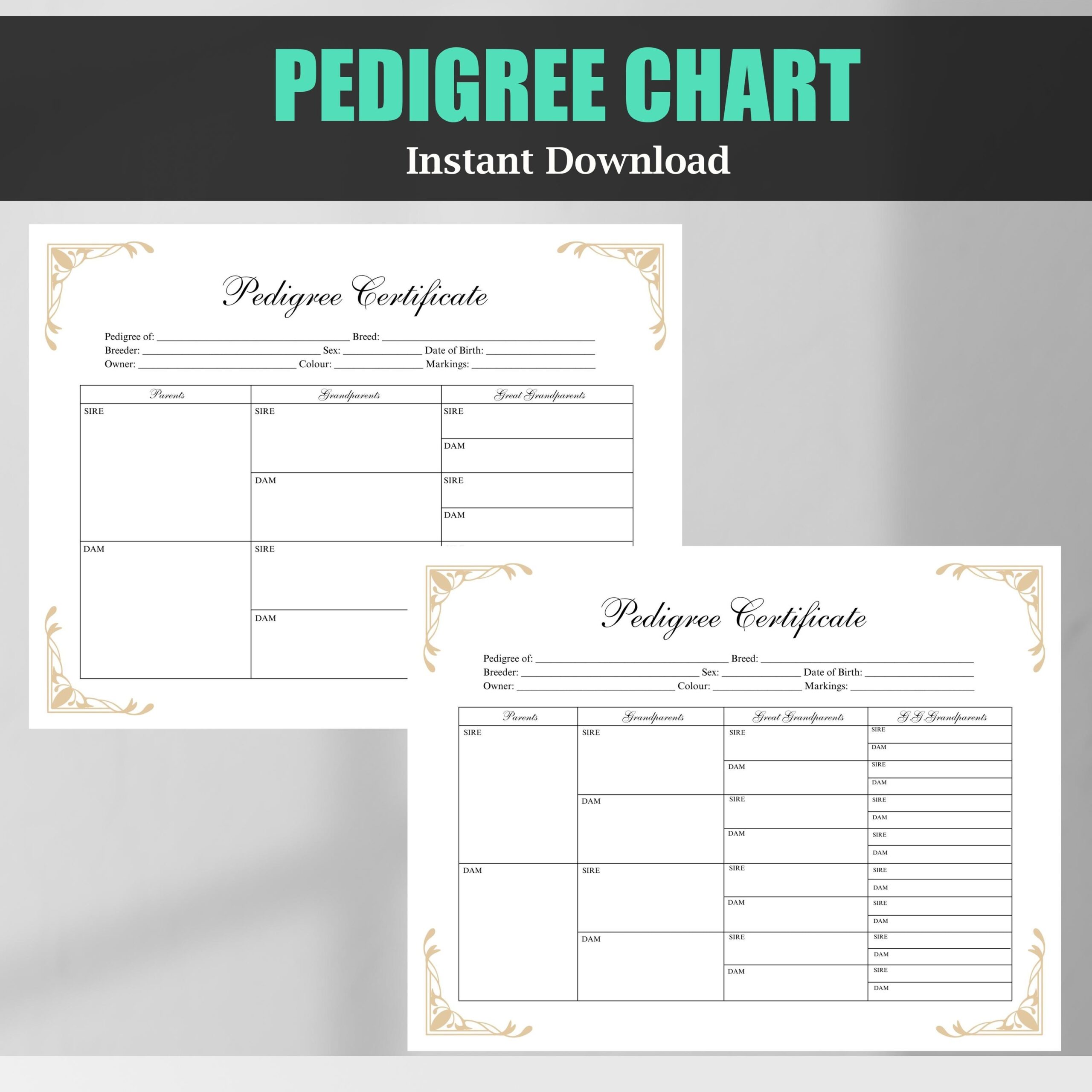 Pedigree Chart Printable 3 4 Generation Pedigree Certificate Breeder Template Digital Download PDF JPEG Etsy