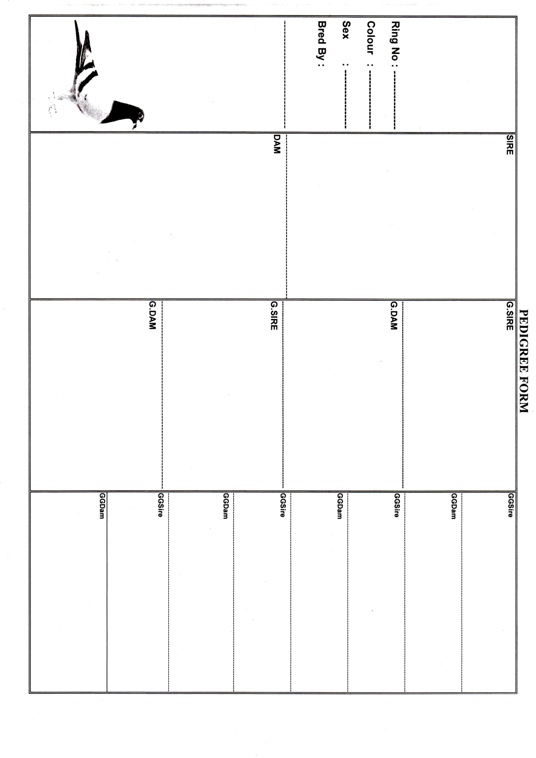 Pedigree Sheet