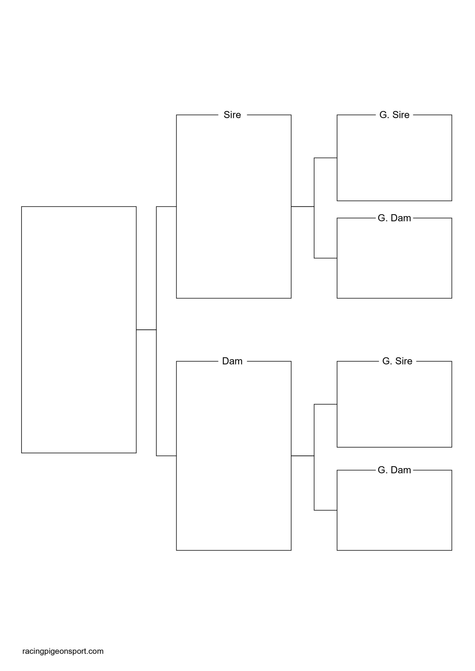 Pigeon Pedigree Templates Software