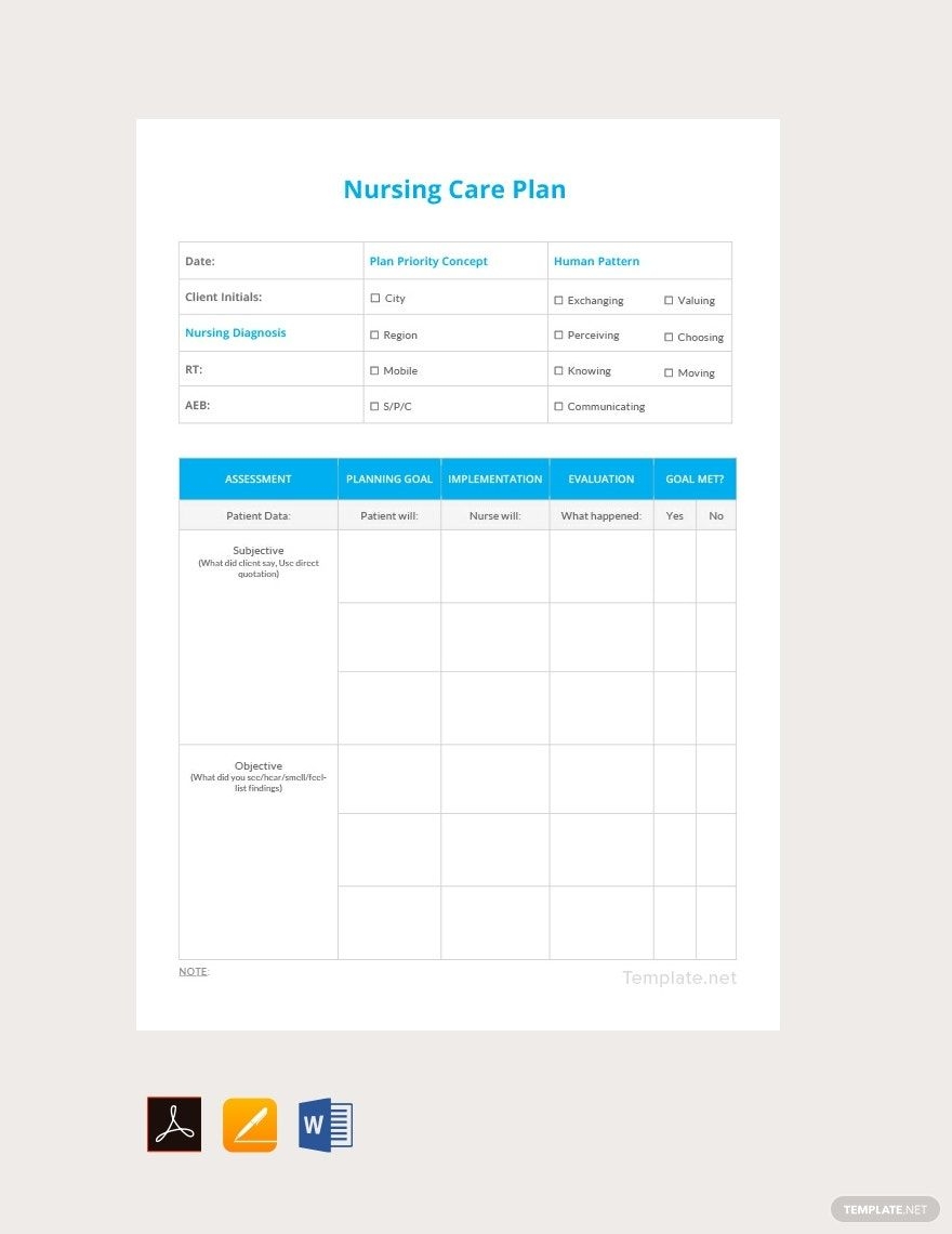Printable Blank Nursing Care Plan Templates