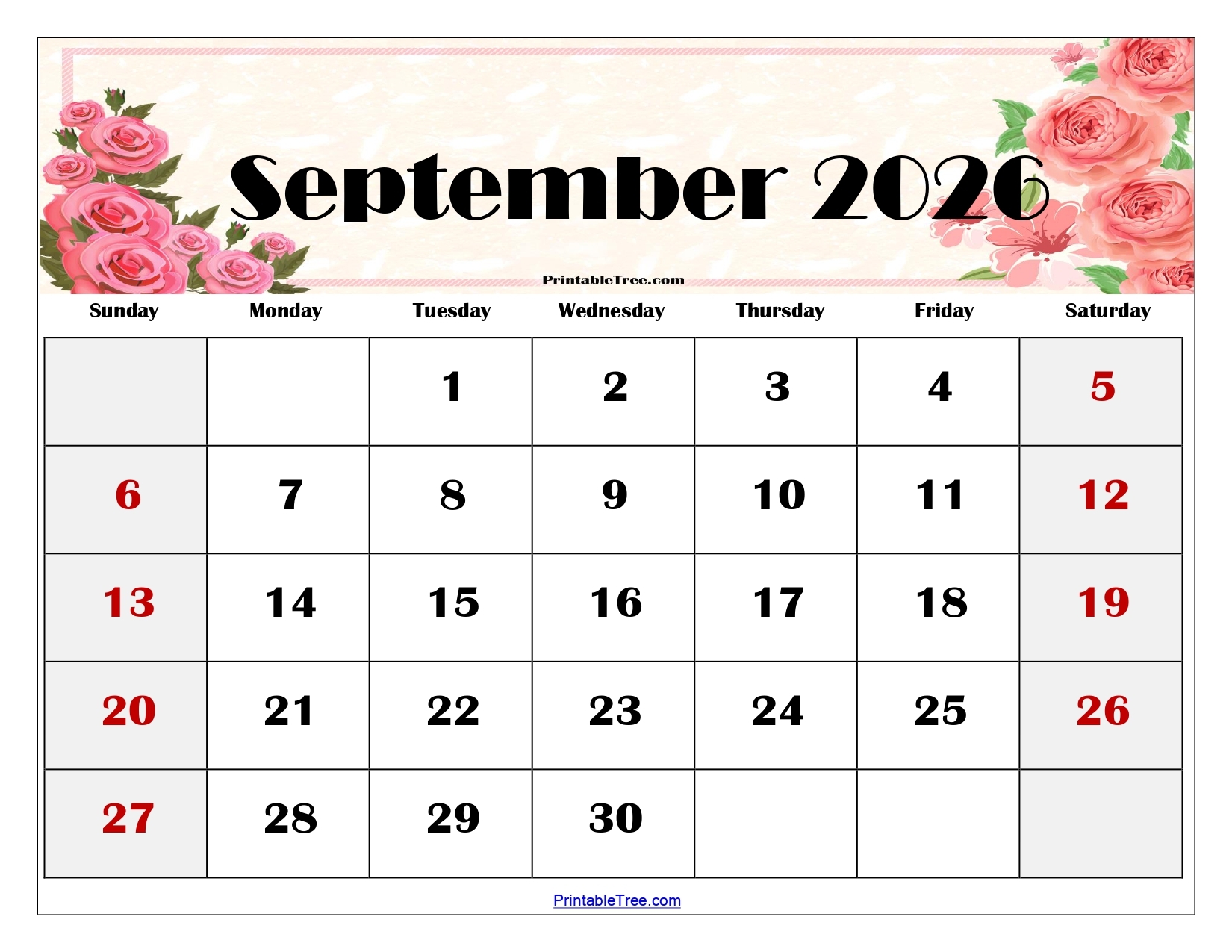 Blank Calendar September 2026 Printable